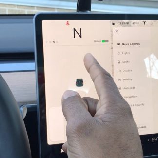 tesla model 3 neutral override