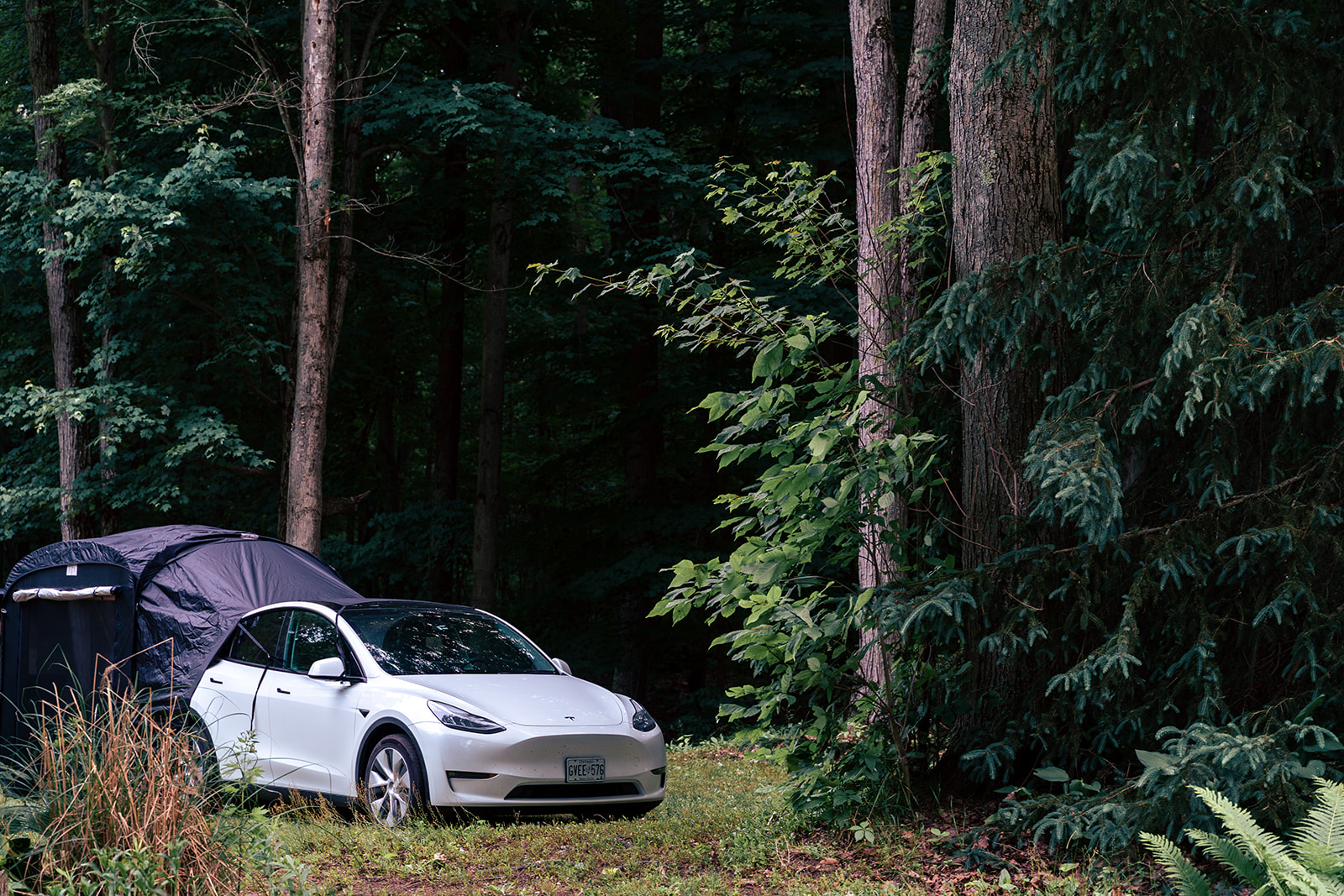 Model Y Camping Tent - Tesloid USA