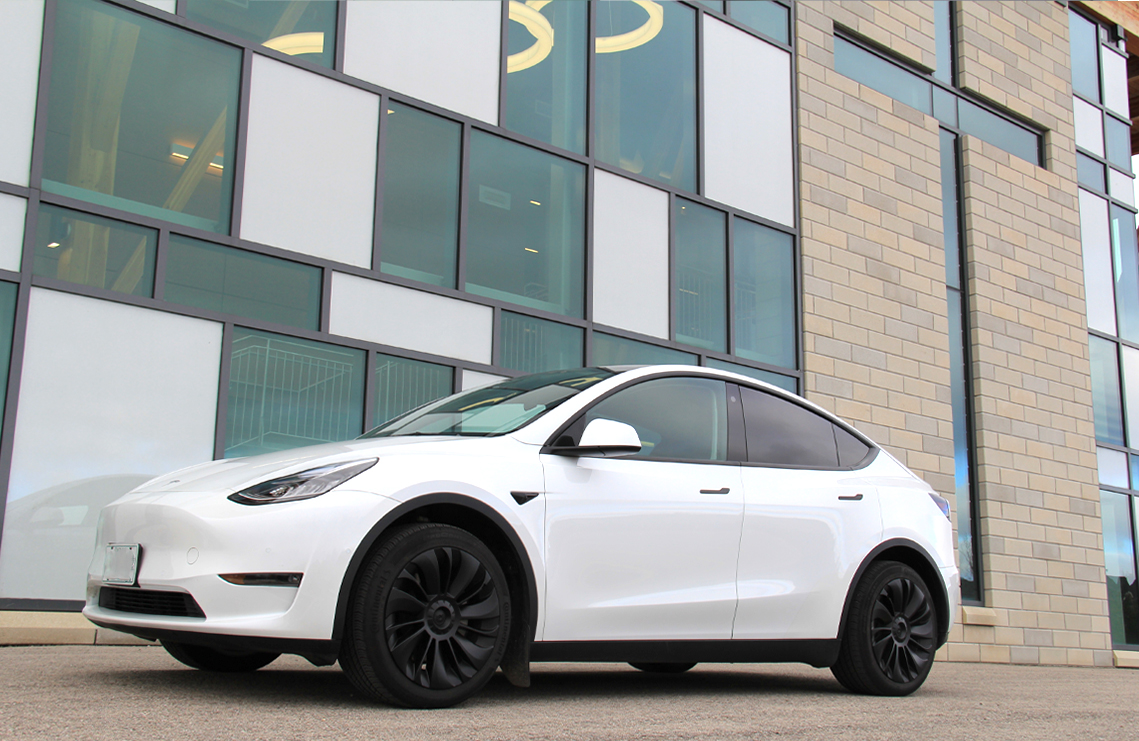 How to Adjust the Exterior Side Mirrors of a Tesla Model 3 or Model Y -  Tesloid USA