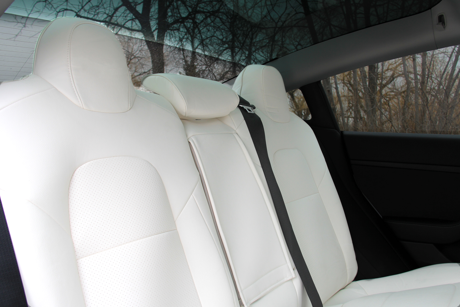 Model Y White Seat Covers