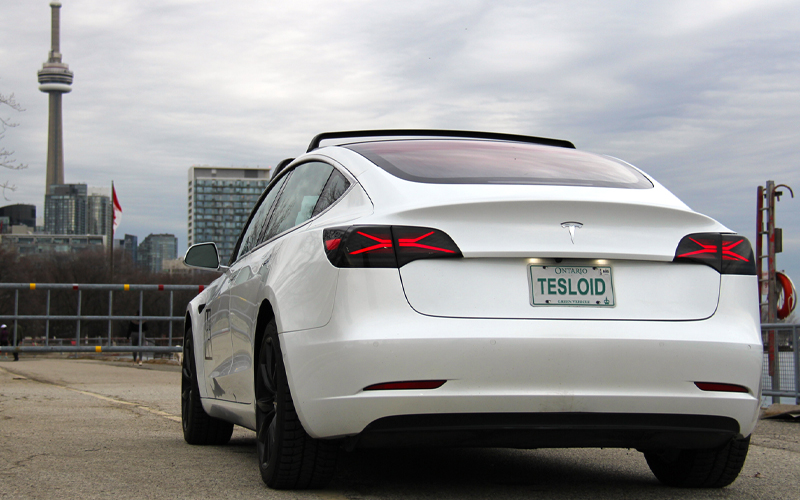 Tesloid Tailights Model 3