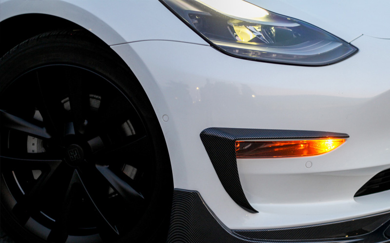 Model 3 fog lamp eye lids