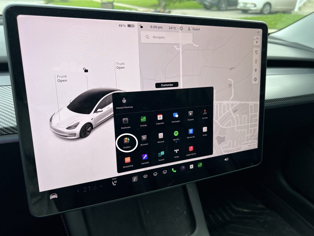 The Toybox Icon in Your Tesla