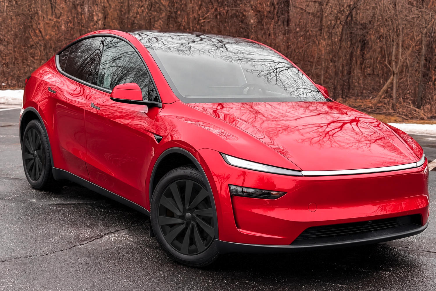 Tesla Model Y Juniper Black Wheel Covers